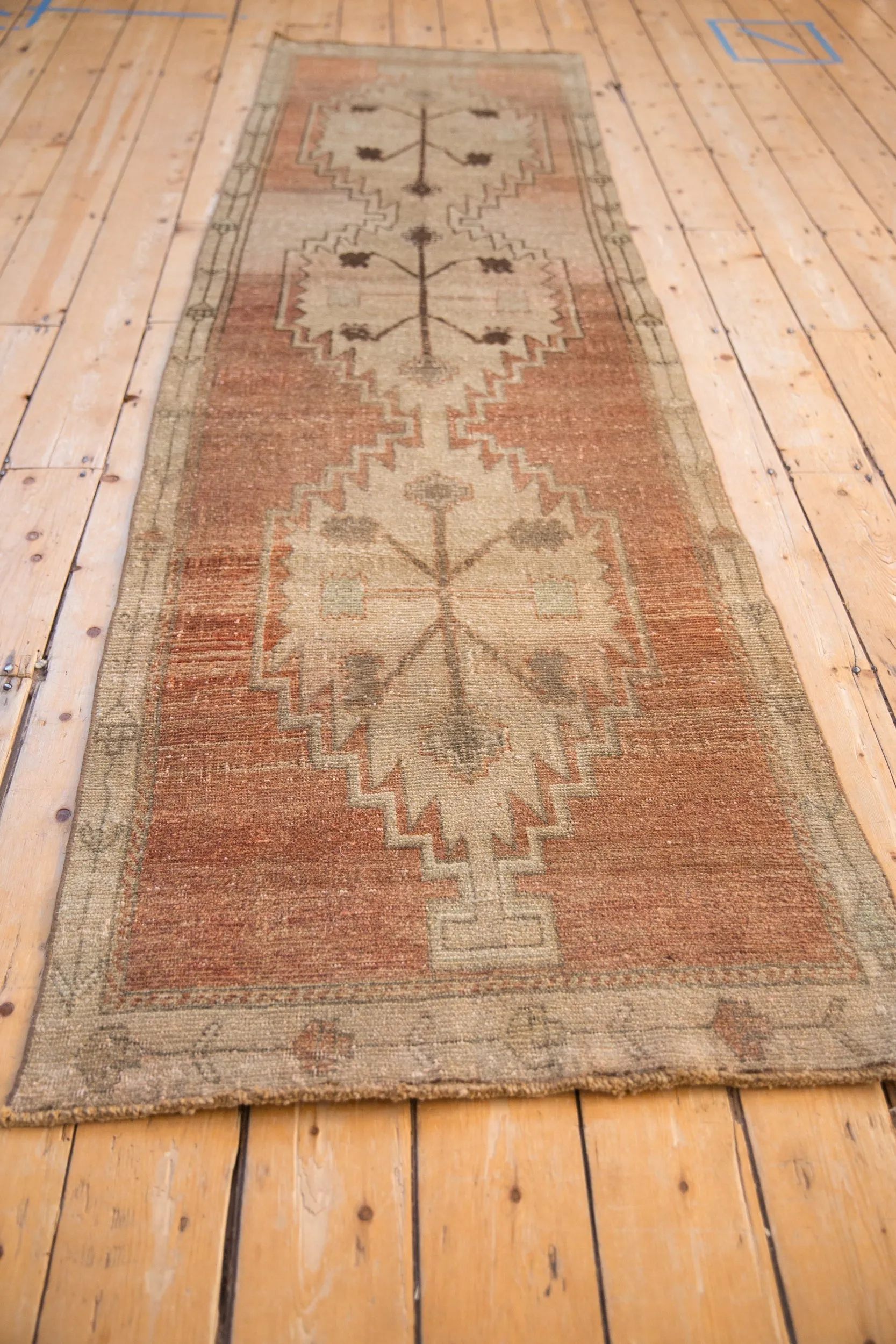2.5x9.5 Vintage Distressed Oushak Rug Runner