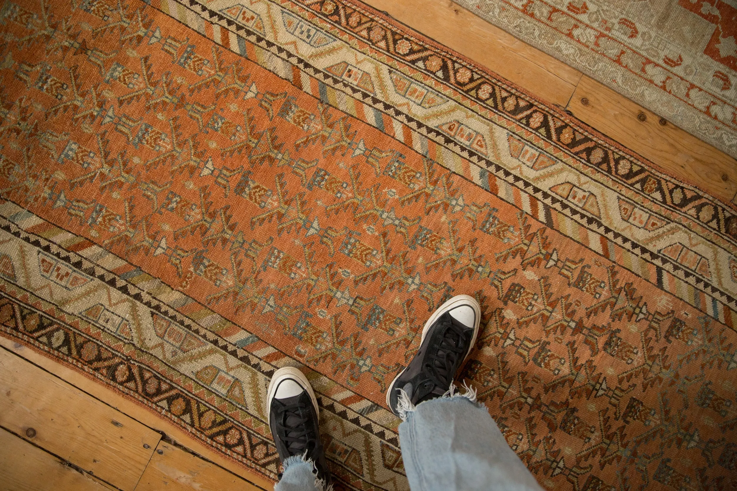 3x13.5 Vintage Distressed Malayer Rug Runner