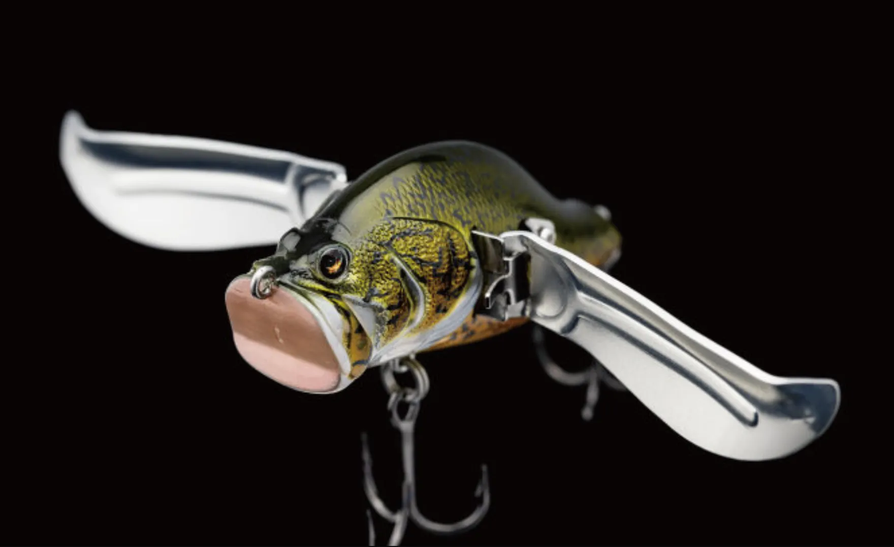 Adusta Zacrawl Yajirobee JR - 011 Murray Cod