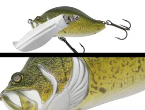 Adusta Zacrawl Yajirobee JR - 011 Murray Cod