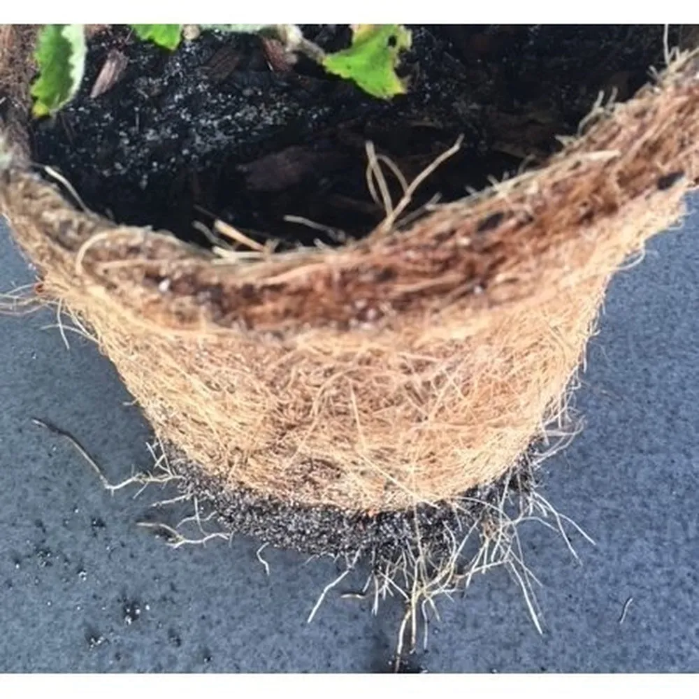 Coir Fibre Pots - Various Sizes