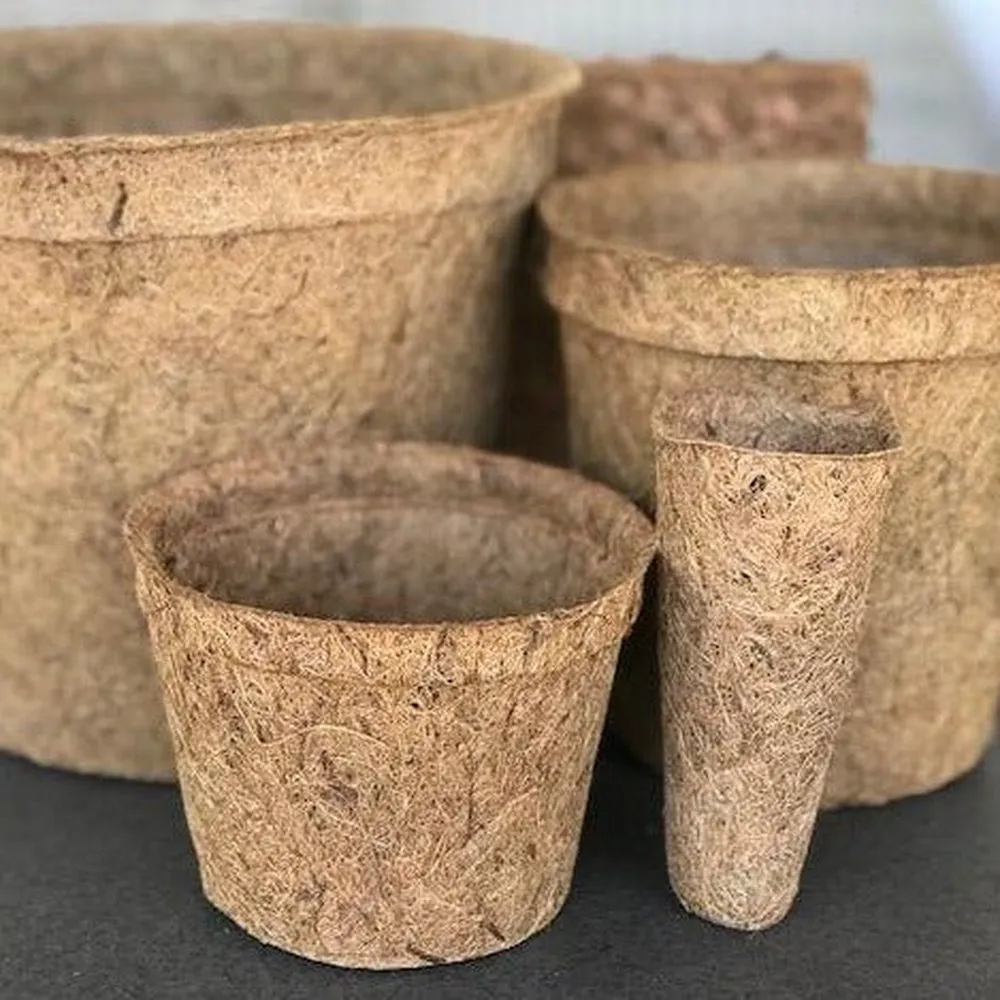 Coir Fibre Pots - Various Sizes