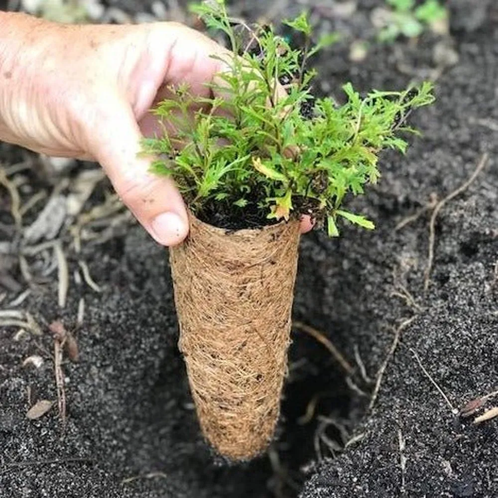 Coir Fibre Pots - Various Sizes