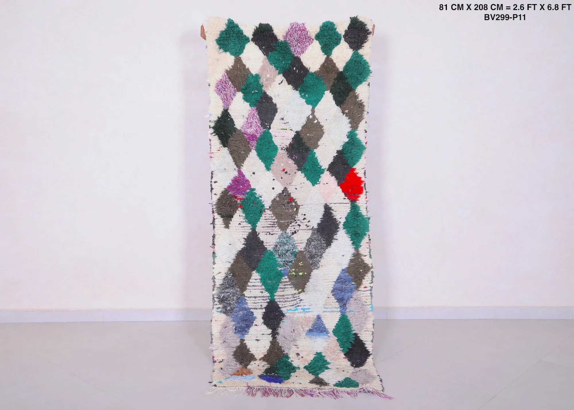Colorful Shaggy Runner Rug 2.6 X 6.8 Feet