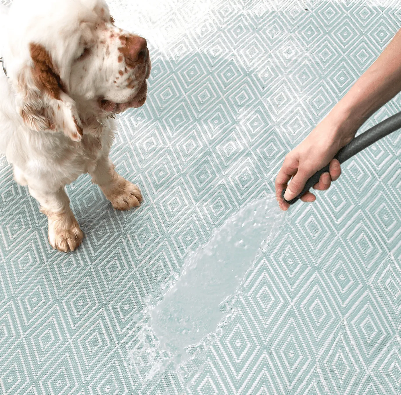 Diamond Indoor/Outdoor Rug - Light Blue & Ivory