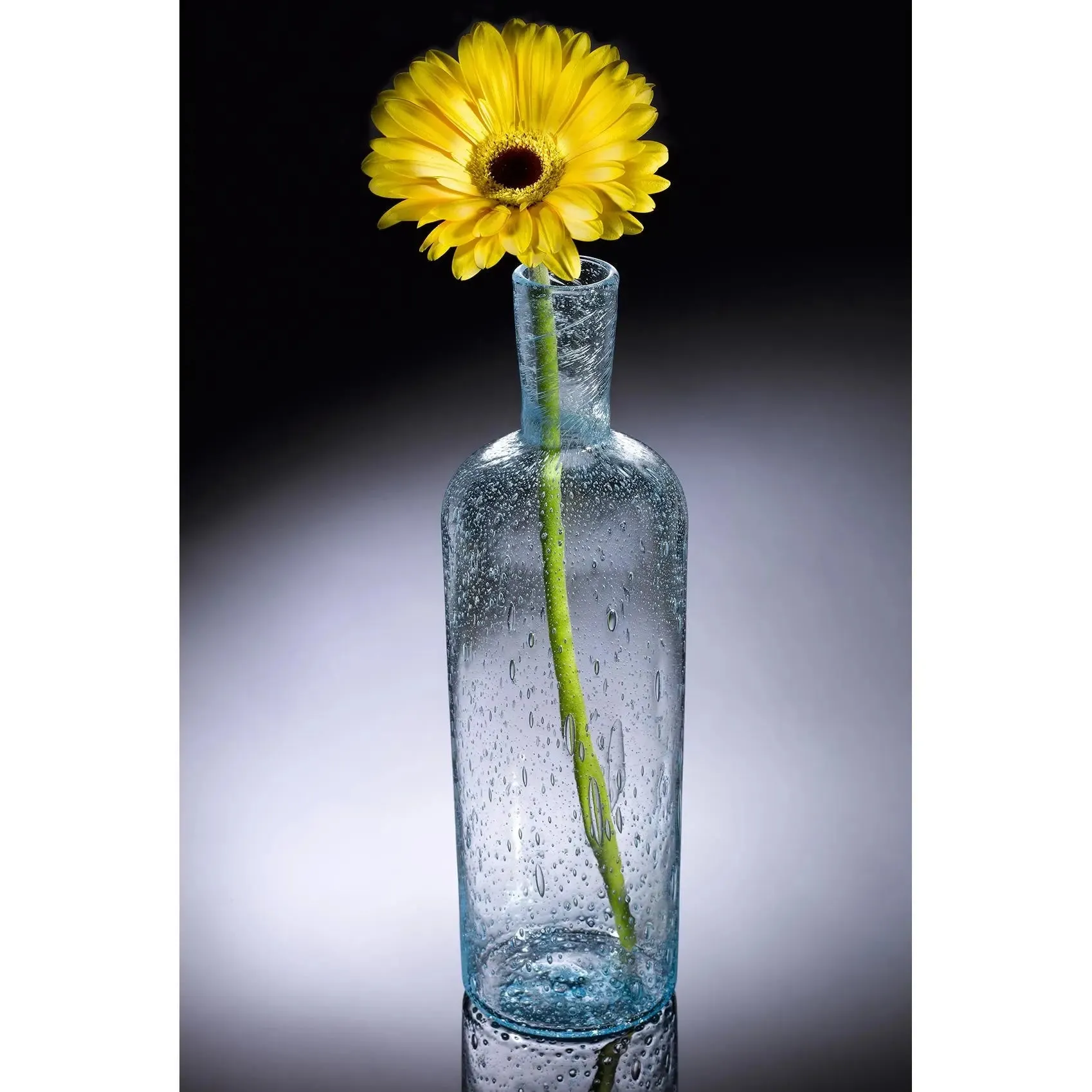 Nautical Series Bottle by Jake Pfeifer of Hot Glass Alley