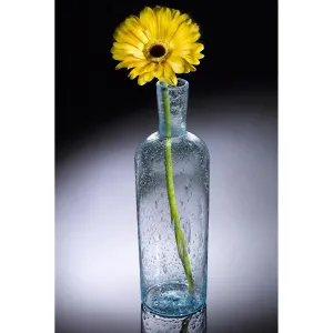 Nautical Series Bottle by Jake Pfeifer of Hot Glass Alley