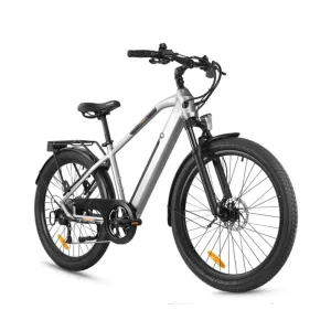 Road Runner Men's Hybrid Electric Bike