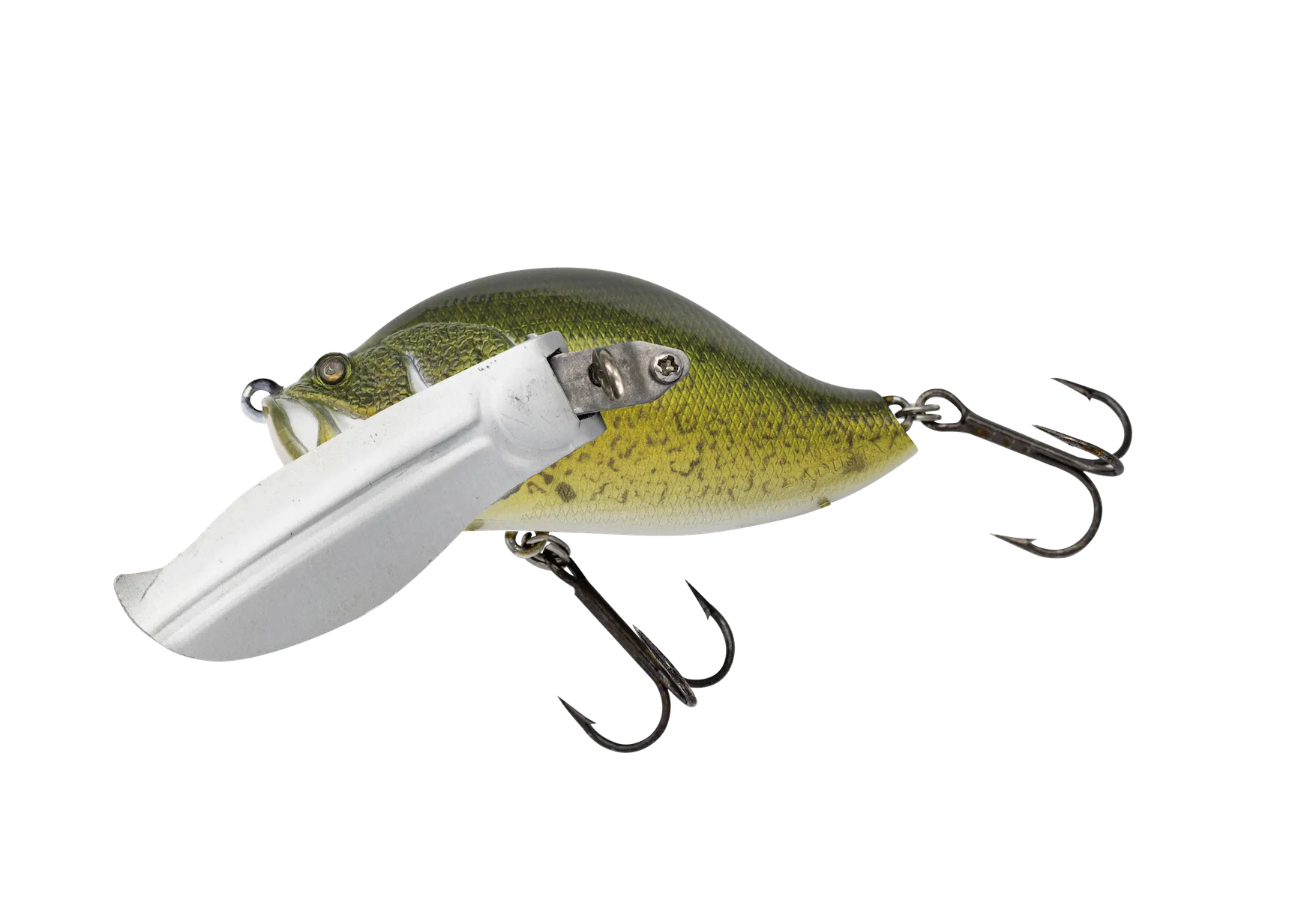 ZYB011 - Adusta Zacrawl Yajirobee - 011 Murray Cod