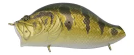 ZYB012 - Adusta Zacrawl Yajirobee - 012 Golden Perch