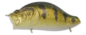 ZYB012 - Adusta Zacrawl Yajirobee - 012 Golden Perch